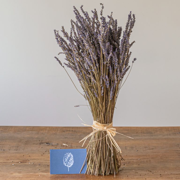 A bundle of Dried Lavender tied with twine stands upright on a wooden surface, exuding rustic charm, with a small card featuring a leaf illustration beside it.