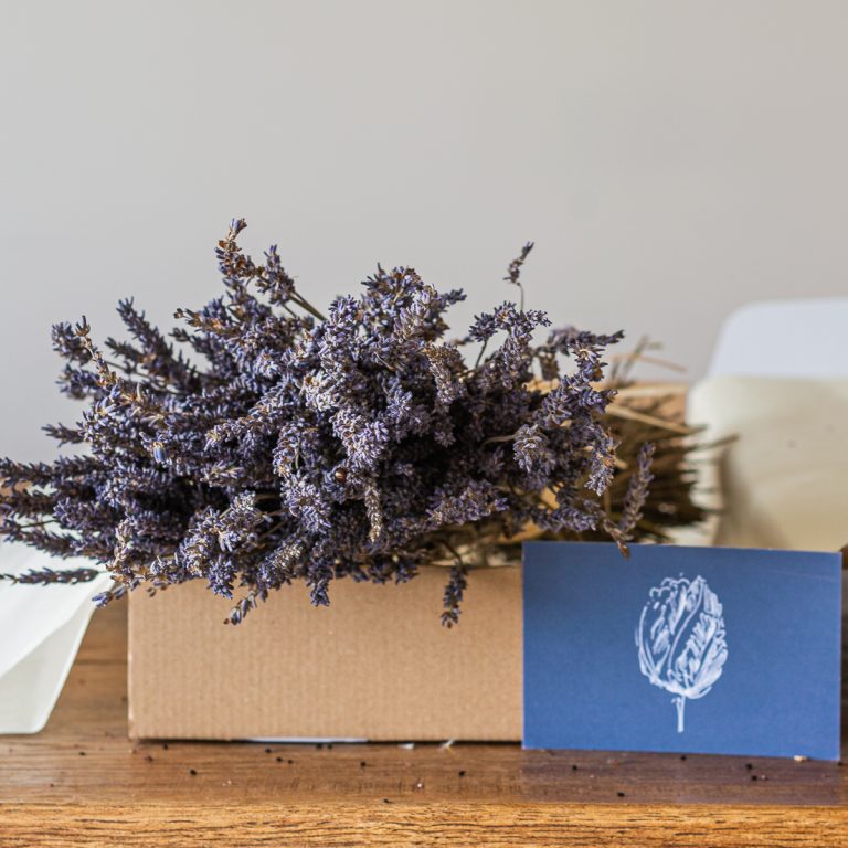 A box containing a bouquet of Dried Lavender sits gracefully on a wooden table, next to a blue card featuring a white floral illustration.