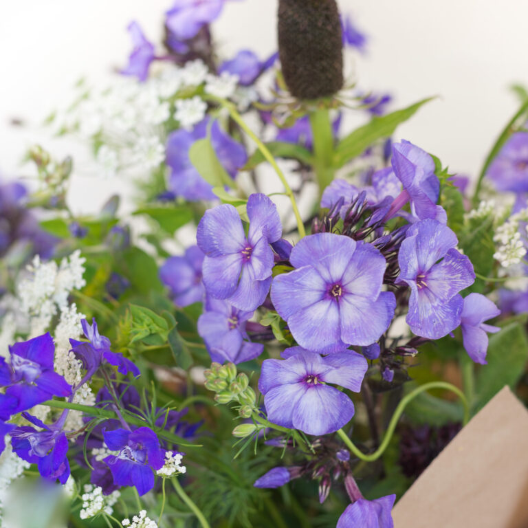 The Hand-tied Bouquet of Seasonal Flowers displays vibrant purple blooms, lush green foliage, and delicate white blossoms set against a soft backdrop.