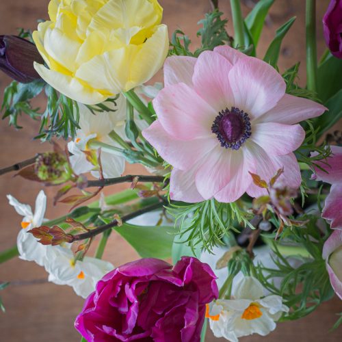 tulips in the post