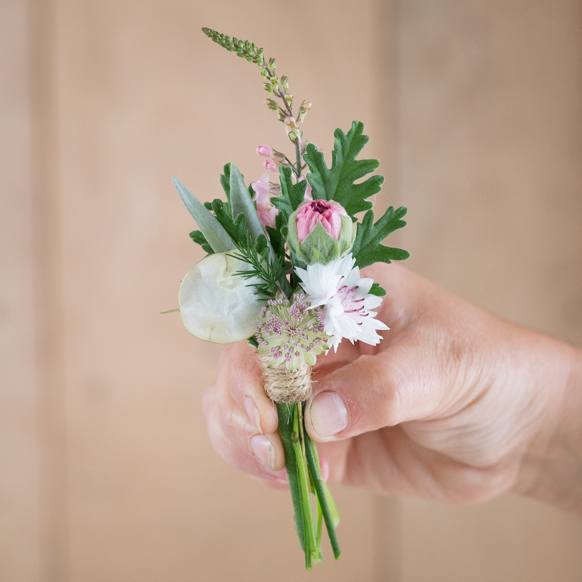 Buttonhole in apricots