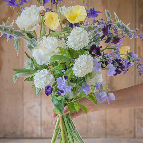 flower farmer's bunch