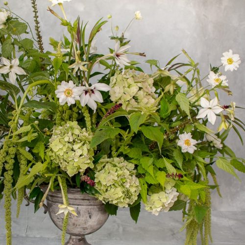 flower club