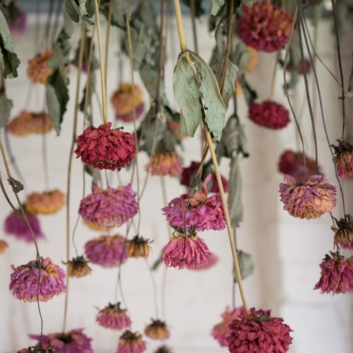 Drying flowers course