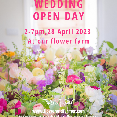 wedding open day