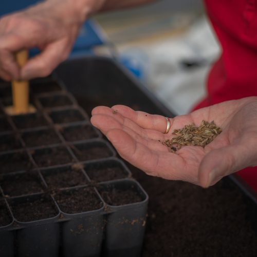 propagation courses
