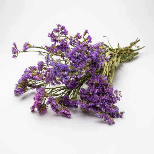 A bunch of dried purple flowers with green stems lies on a white surface.