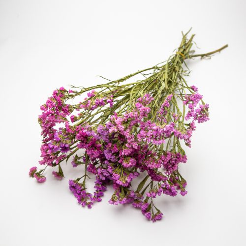 pink statice