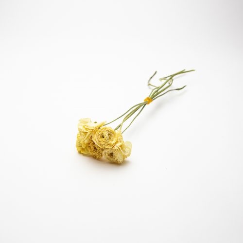 A small bunch of dried yellow flowers with green stems tied together, placed on a plain white background.