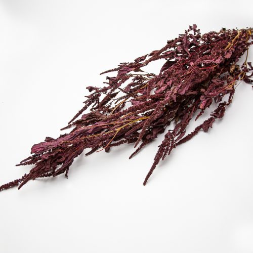 Dried amaranthus