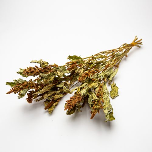A bundle of dried herbs with brown seed clusters and green leaves against a white background.