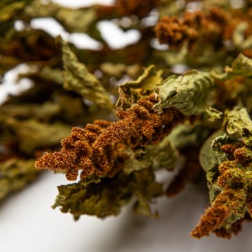 Dried amaranthus