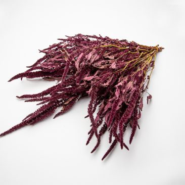 Dried amaranthus