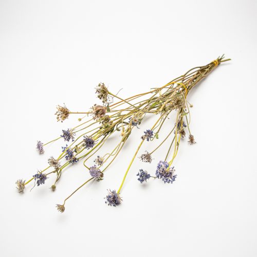 A bundle of dried lavender stems with small purple flowers lies on a white surface.