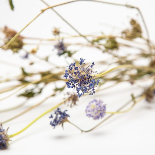 everlasting flower decorations