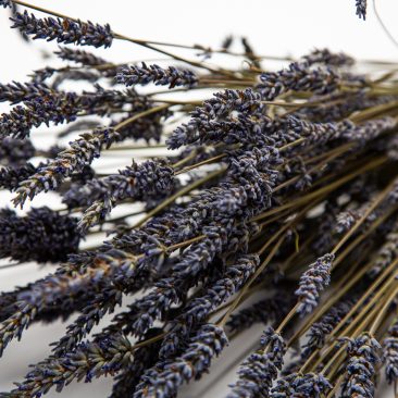 Dried British Lavender
