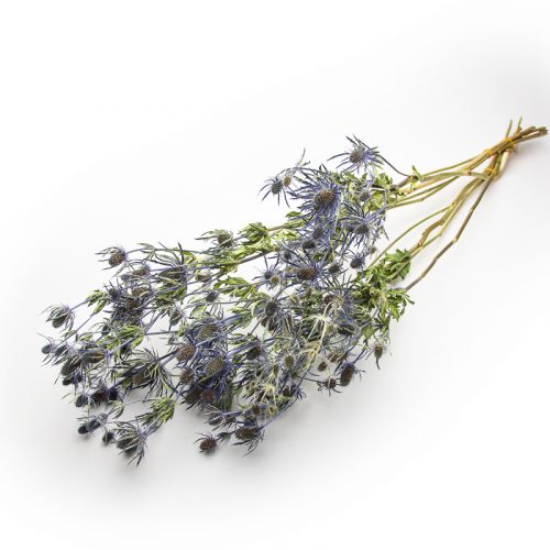 Bundle of dried blue thistle flowers with green leaves against a white background.
