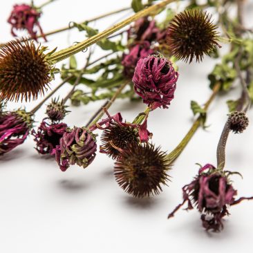 home decor flowers