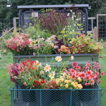 British flower farm
