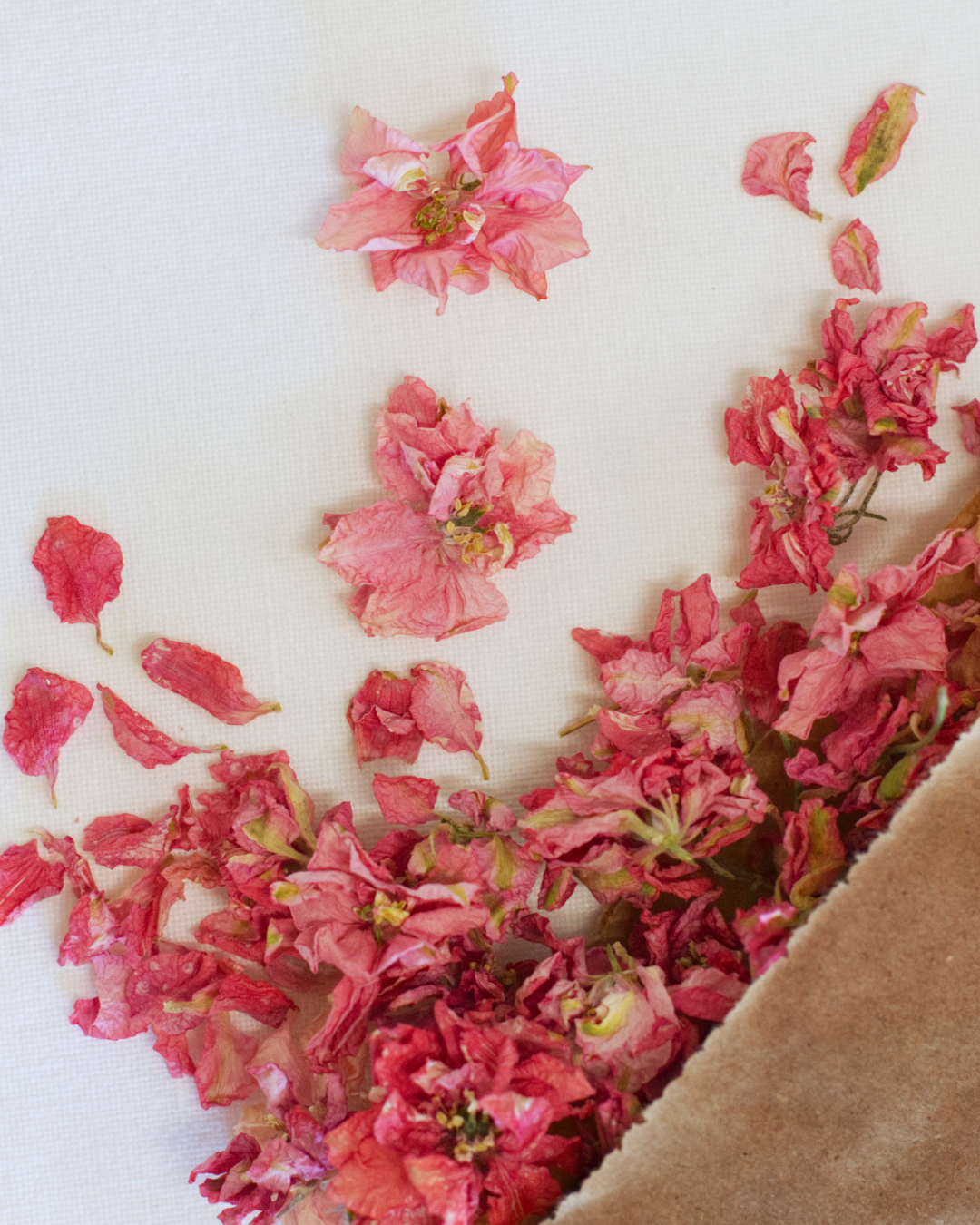Dried Larkspur Confetti – Pink tumbles from a brown paper wrapper, scattering delicate pink blooms and petals across a white surface.