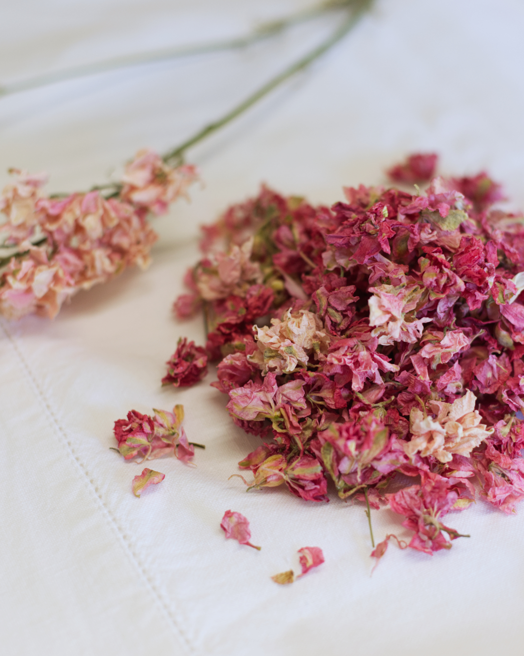 Dried Larkspur Confetti - Pink shown on a white fabric surface, with scattered pink and red petals and a lone dried flower stem behind.